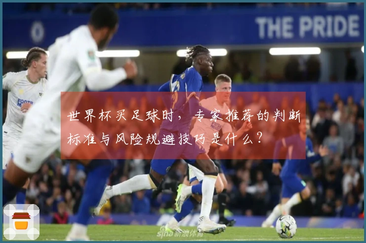 世界杯买足球时，专家推荐的判断标准与风险规避技巧是什么？