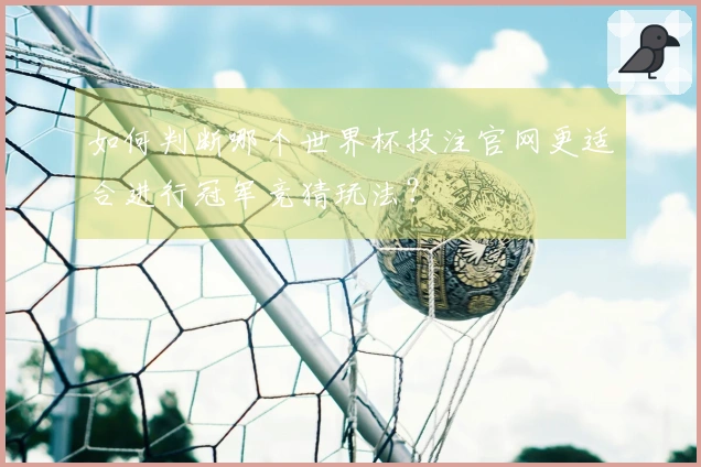 如何判断哪个世界杯投注官网更适合进行冠军竞猜玩法？