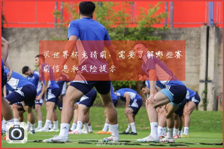 买世界杯竞猜前，需要了解哪些赛前信息和风险提示