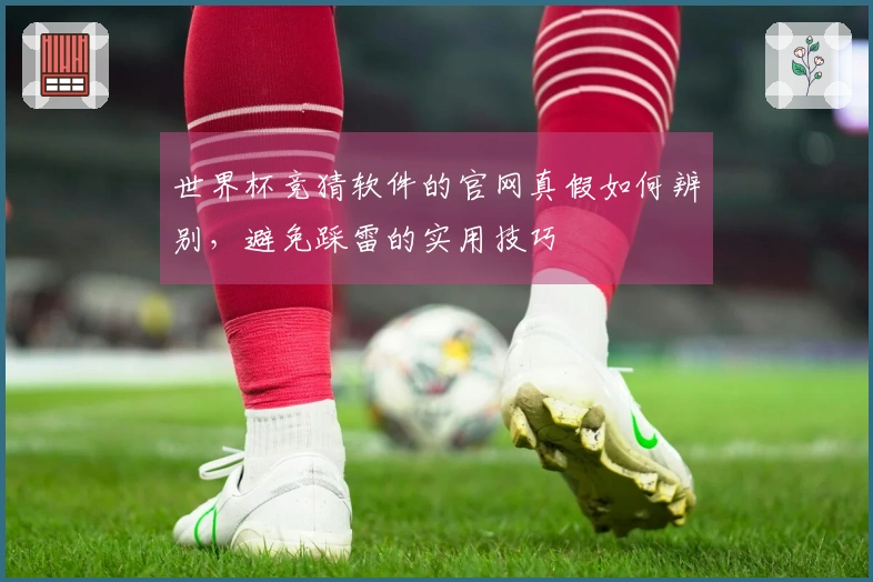 世界杯竞猜软件的官网真假如何辨别，避免踩雷的实用技巧