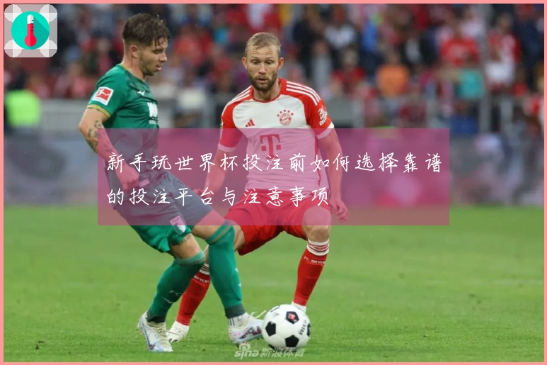 新手玩世界杯投注前如何选择靠谱的投注平台与注意事项