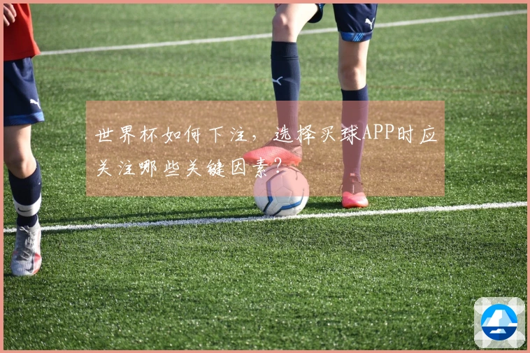 世界杯如何下注，选择买球APP时应关注哪些关键因素？