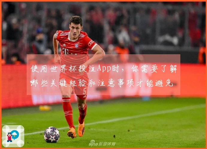 使用世界杯投注App时，你需要了解哪些关键经验和注意事项才能避免踩坑？
