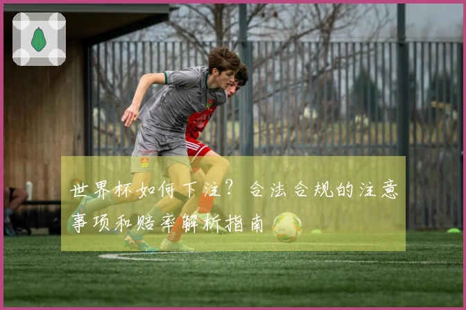 世界杯如何下注？合法合规的注意事项和赔率解析指南